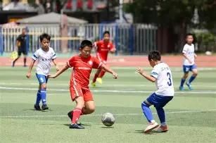 重庆迎来,亚太机器人,世界杯国际,开云体育平台,开云体育官方网站,开云体育登录入口,开云体育app下载