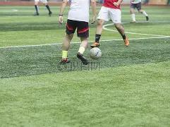 世欧预巅峰,对决,世界杯,开云体育平台,开云体育官方网站,开云体育登录入口,开云体育app下载