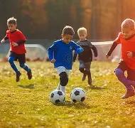 锡镀铜排,开云体育,开云体育平台,开云体育平台,开云体育官方网站,开云体育登录入口,开云体育app下载