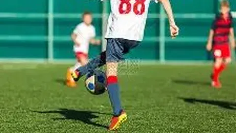 开云体育 资讯 121552 dxx