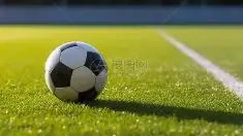 开云体育 资讯 123520 stf