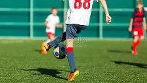 开云体育 产品 122017 3lz