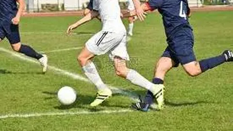 保罗石斛之光，羽片璀璨