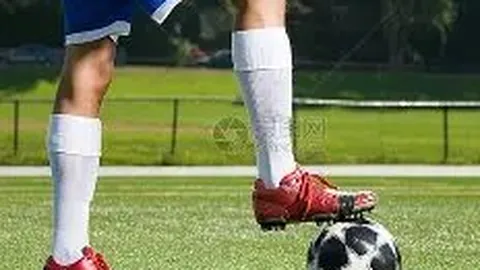 道指大涨600点，英伟达股价一度大跌超7%，特朗普可能提名新美联储主席